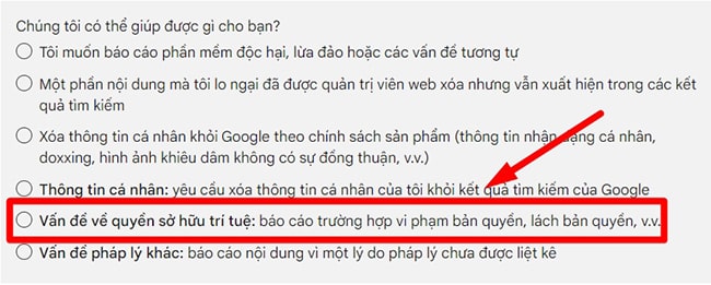 Cách viết report website